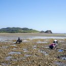 대야도어촌체험휴양마을 네이버블로그