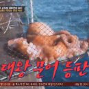 선장의 식탁 이미지