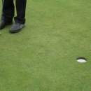 EB GOLF (이비골프) 이미지