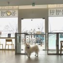 위시티 동물병원 이미지