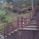 하추자연휴양림 이미지