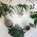 [순천] 순천에 하나뿐인 가드닝 스튜디오 &#39;발코니 가드닝 스튜디오&#39; + 원데이 클래스 후기
