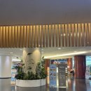 메종글래드 제주 (은남동방면) | 제주/제주시 메종글래드 제주 스위트룸 후기(조식 뷔페, 석식뷔페)