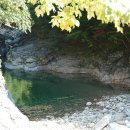 중앙시장1 이미지