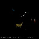 삼성1로 이미지