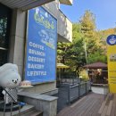 벌말로50번길 | [분당/야탑] 베이커리 대형카페, 카페지지 내돈내산 솔직후기