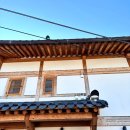 에그궁 | 수원 행궁동 맛집 추천, 오믈렛·스테이크 파스타 찐맛집 에그궁 행궁동본점 후기