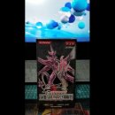 야참박스 이미지