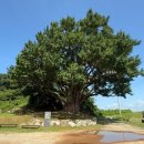 볼소리 펜션 이미지