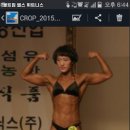볼트짐 네이버블로그