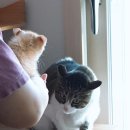 학익동물병원 이미지