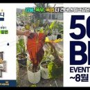 흙이보배다식물