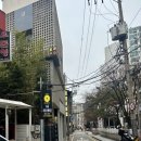 뉴욕라츠오베이글스 이미지