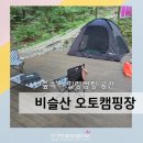 이마트24대구황금캐슬점 | 대구 비슬산 자연휴양림 숲속 오토캠핑장 5번데크 정보 및 계곡 물놀이 후기