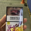 야미브라운 | 에쎄 잇츠 딥브라운 (제주감귤초콜렛 맛 담배)