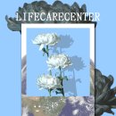 더웰빙연구소 | 464. 수원 방탈출 연구소 < Life care center 라이프 케어 센터 > 수원 방탈출 후기