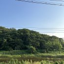 그로운베이커리 | 양주 대형카페 그로운베이커리 살구에이드 후기(빵구매실패..)
