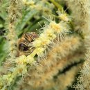 국산한의원 이미지