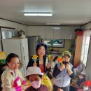 오동골2 Daum카페
