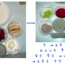 쇠고기 야채죽 // 비트 바나나죽 이미지