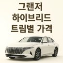 그랜저 하이브리드 가격 혜택