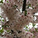 승학체육공원 이미지