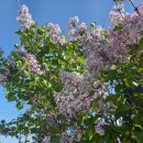 잔디수산 | 아이들도 좋아하는 장어맛집 물레방아향산수산 후기 김포맛집