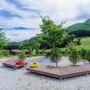 알퐁스펜션 이미지