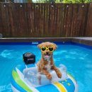 행복한유치원 이미지