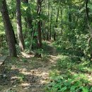 대전둘레산길(12구간) 이미지