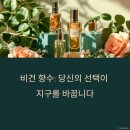 에덴환경산업 | 지속 가능한 향수 브랜드, 어떤 향이 좋을까?