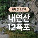 승우여행사 이미지