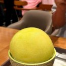 설빙양산 이미지