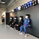 키즈mma짐 이미지