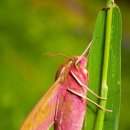 필라테스B 이미지