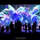 네트웍여행사㈜ 이미지