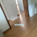라디언트406 이미지