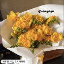 오다요가