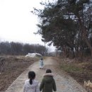 진호마트