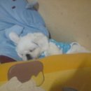 명월일기 이미지