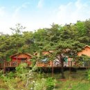 다모아 민박펜션 이미지