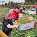 두모리경로당 이미지