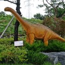 덕소자연사박물관 이미지