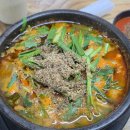 (주)삼호유황오리 | 대전 원촌동 오리탕 맛집 '서원골유황오리' 방문 후기 내돈내산