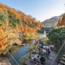 곤지암리조트 사우나 이미지