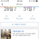 더 낫도 이미지