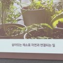 도계광장 | [리뷰] 테이스티광장 프로그램 체험 후기 | 가을을 닮은 채식의 맛 | 경기도먹거리광장 in 경기상상캠퍼스