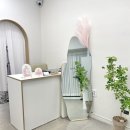 콩스몽스 이미지