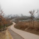 () 서울 도심 속에 숨겨진 서촌의 끝자락을 거닐다 ~~~ (한양도성길, 딜쿠샤와 은행나무, 홍난파가옥...) 이미지
