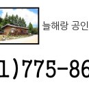 늘해랑공인중개사사무소 이미지